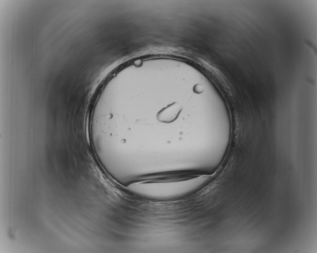 X0000100421272200806271458