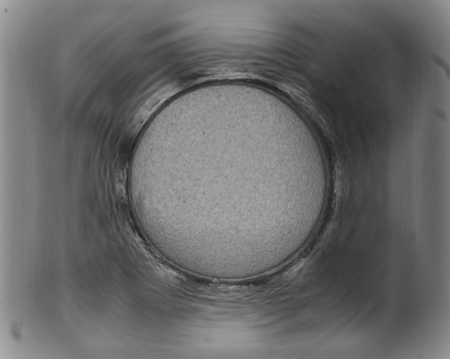X0000100421273200806271458