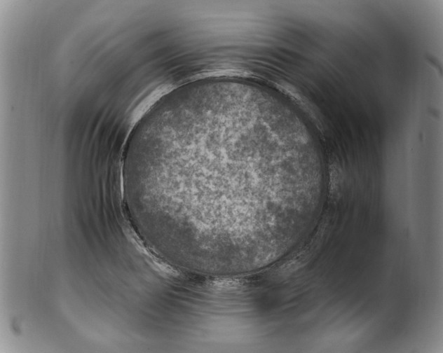 X0000100421274200806271458