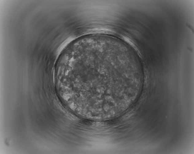 X0000100421275200806271458