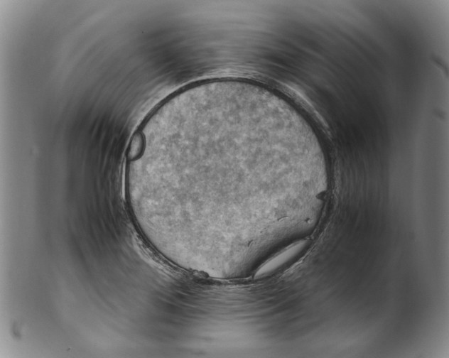 X0000100421276200806271458