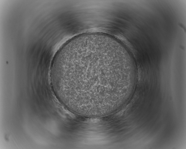 X0000100421278200806271458