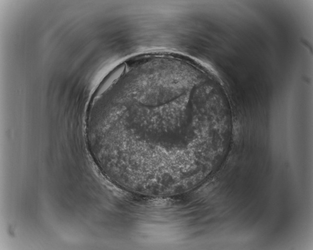 X0000100421279200806271458