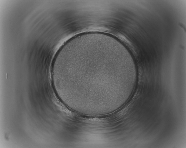X0000100421280200806271458