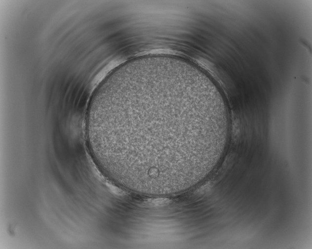 X0000100421282200806271458