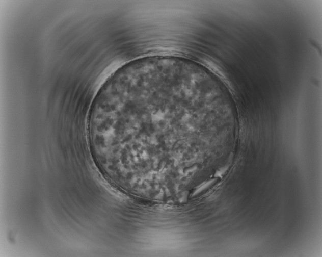 X0000100421283200806271458
