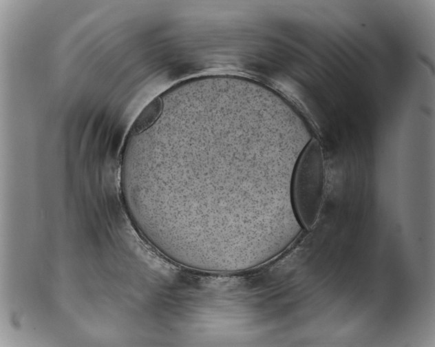 X0000100421284200806271458