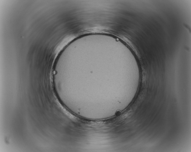 X0000100421285200806271458