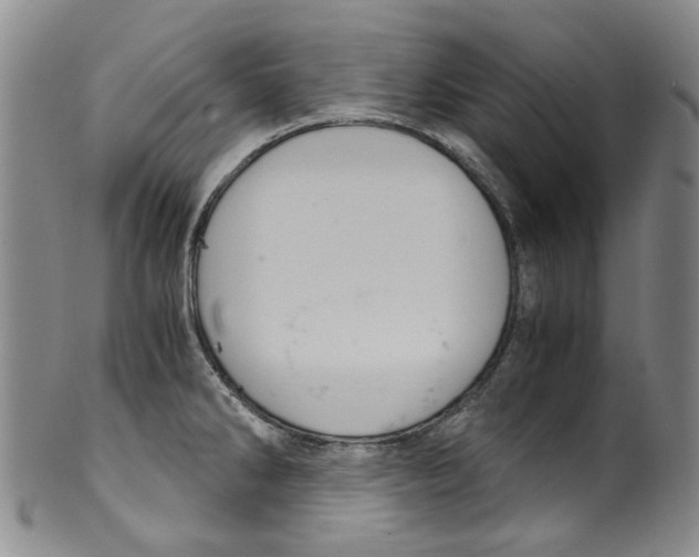X0000100421286200806271458