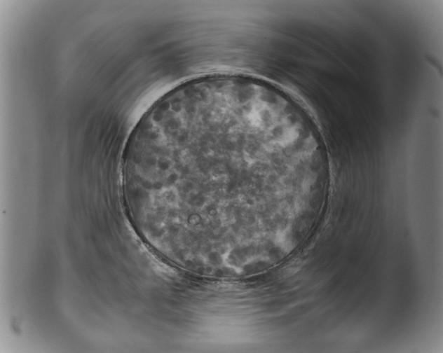 X0000100421287200806271458