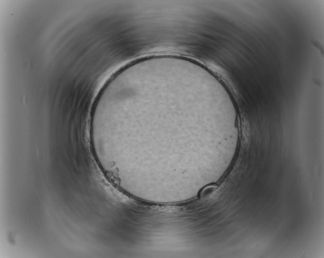 X0000100421288200806271458