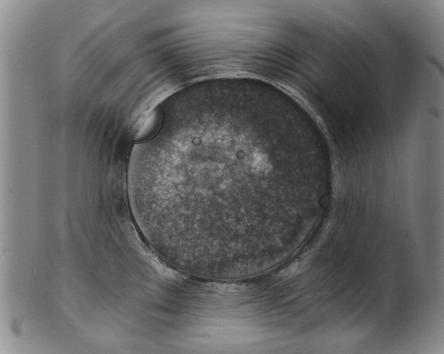 X0000100421289200806271458