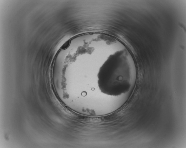 X0000100421291200806271458