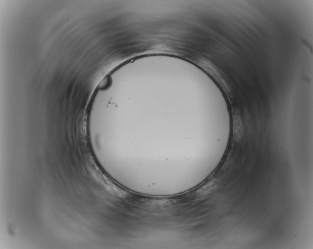 X0000100421292200806271458