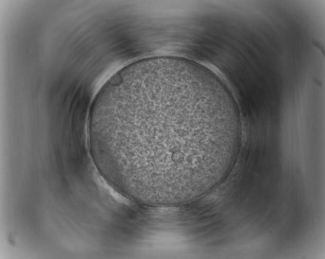 X0000100421294200806271458