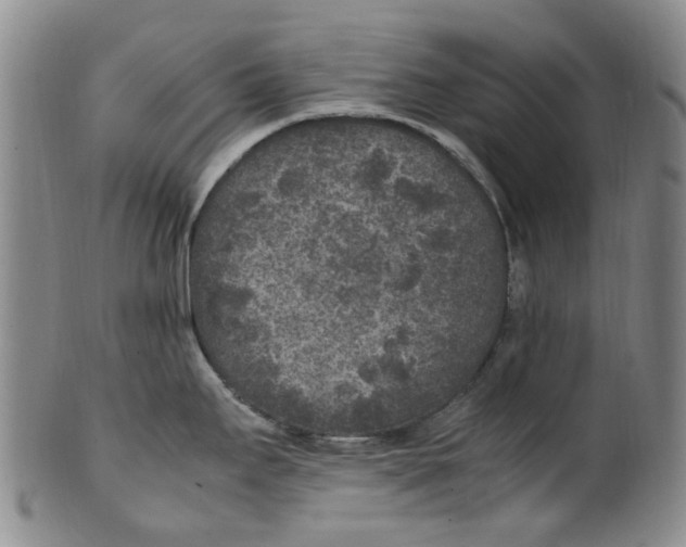 X0000100421295200806271458