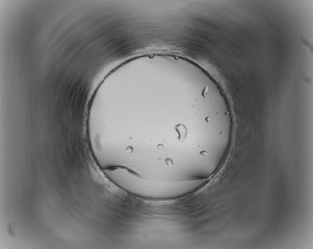 X0000100421296200806271458