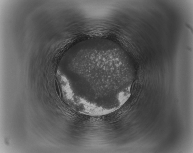 X0000100421297200806271457