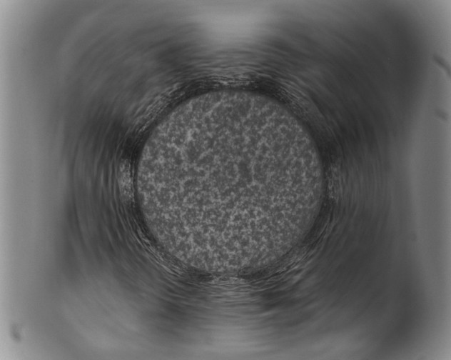 X0000100421298200806271457