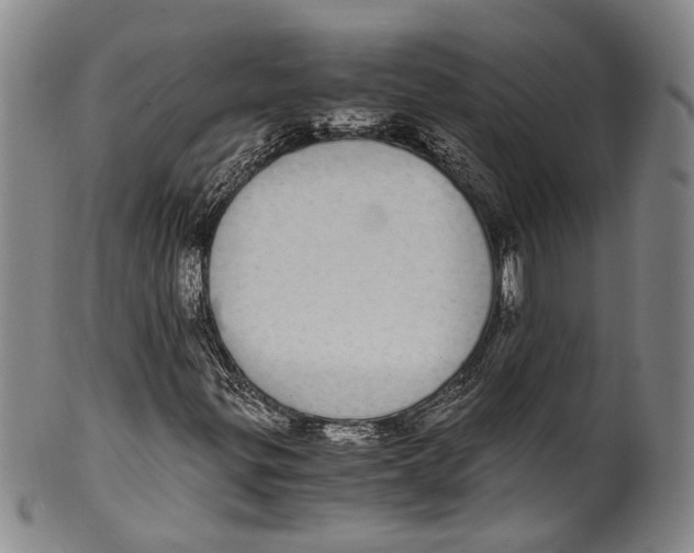 X0000100421299200806271457
