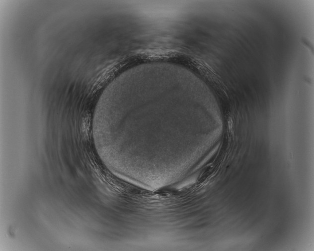 X0000100421300200806271457