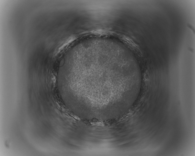 X0000100421302200806271457