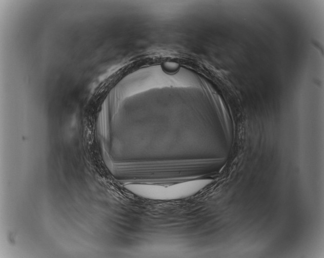 X0000100421303200806271457