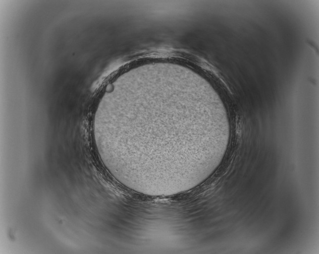 X0000100421304200806271457