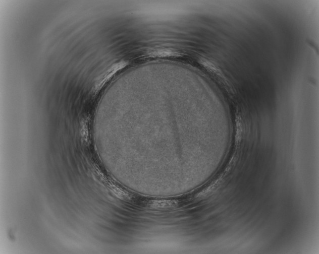 X0000100421305200806271458