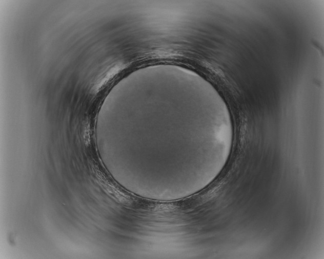 X0000100421306200806271458