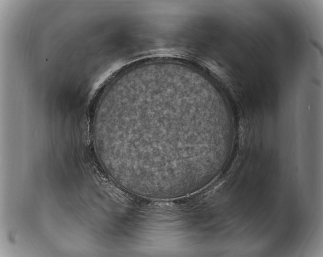 X0000100421310200806271458