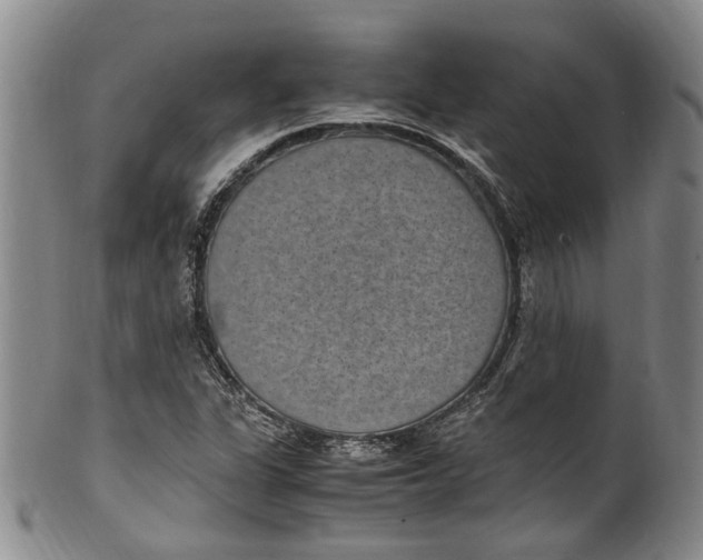 X0000100421311200806271458
