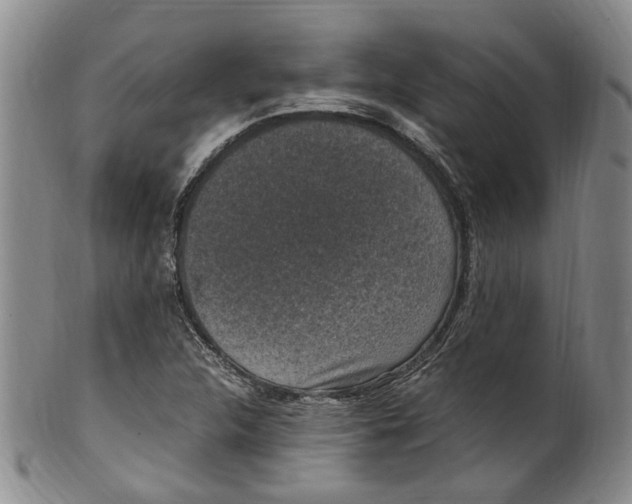 X0000100421312200806271458