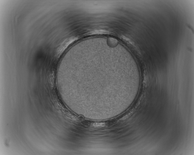 X0000100421313200806271458
