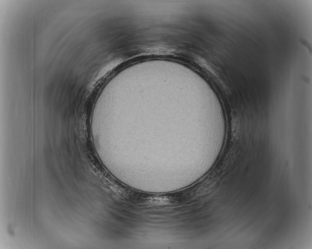 X0000100421315200806271458
