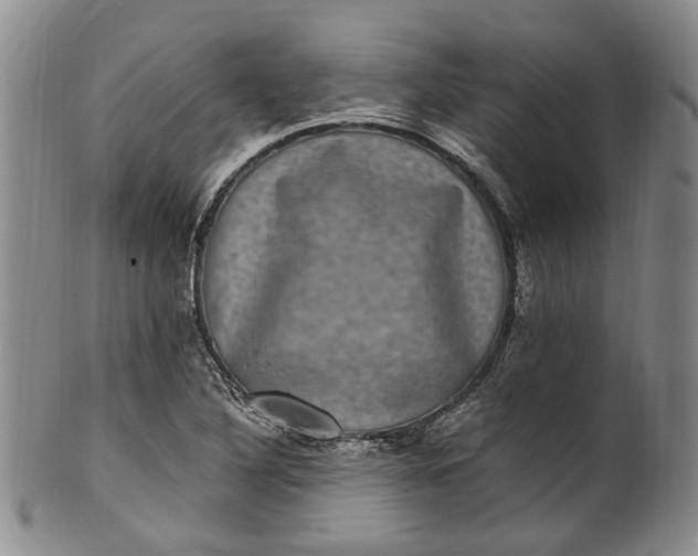 X0000100421316200806271458