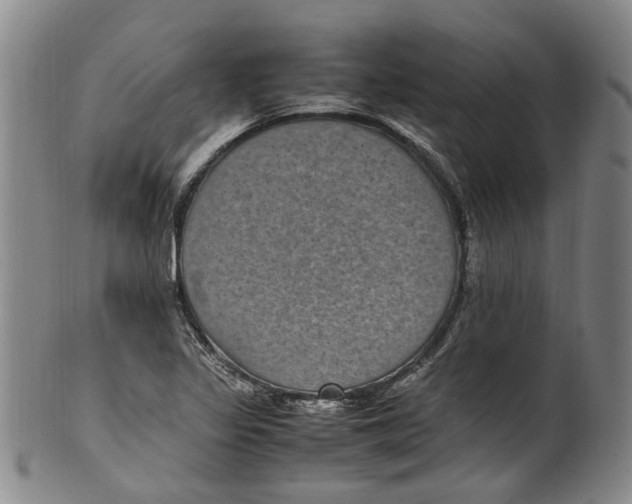 X0000100421317200806271458