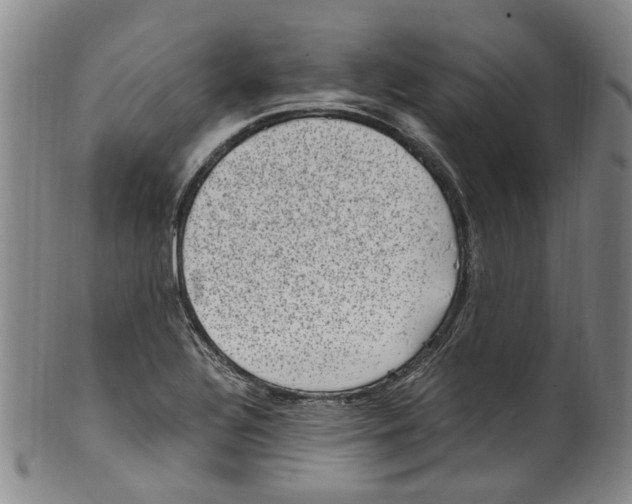 X0000100421320200806271458