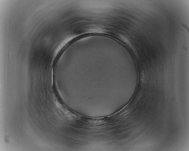 X0000100421323200806271458