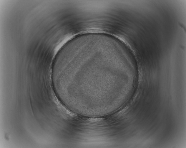 X0000100421325200806271458