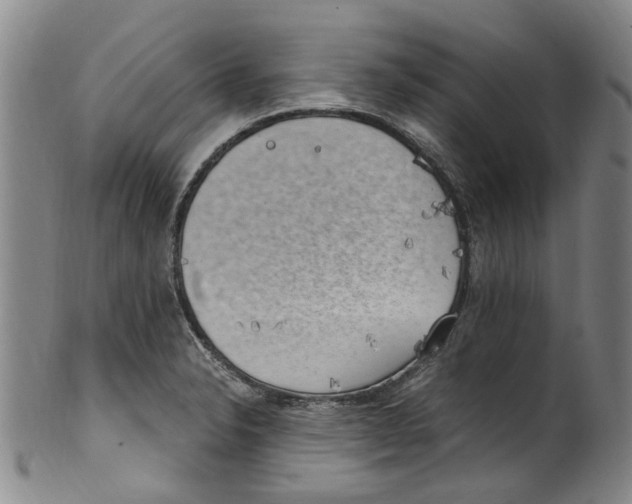 X0000100421326200806271458