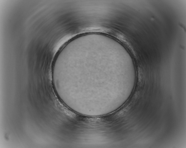 X0000100421328200806271458