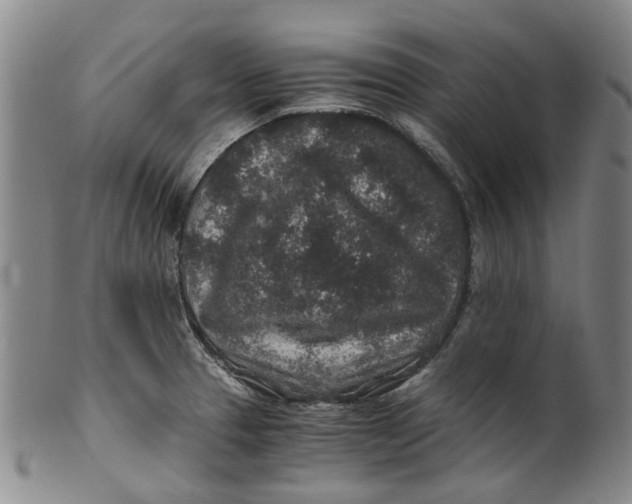 X0000100421329200806271458
