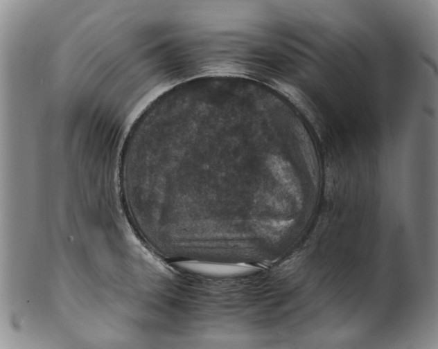 X0000100421331200806271458