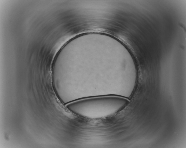 X0000100421332200806271458