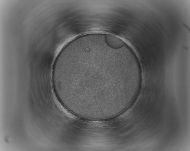 X0000100421333200806271458
