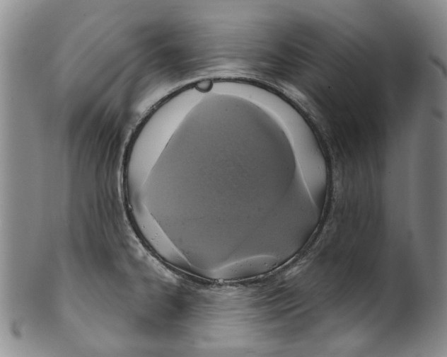 X0000100421334200806271458