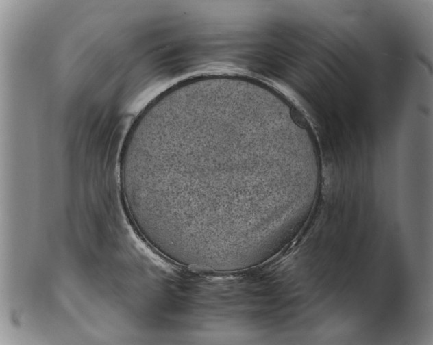 X0000100421335200806271458