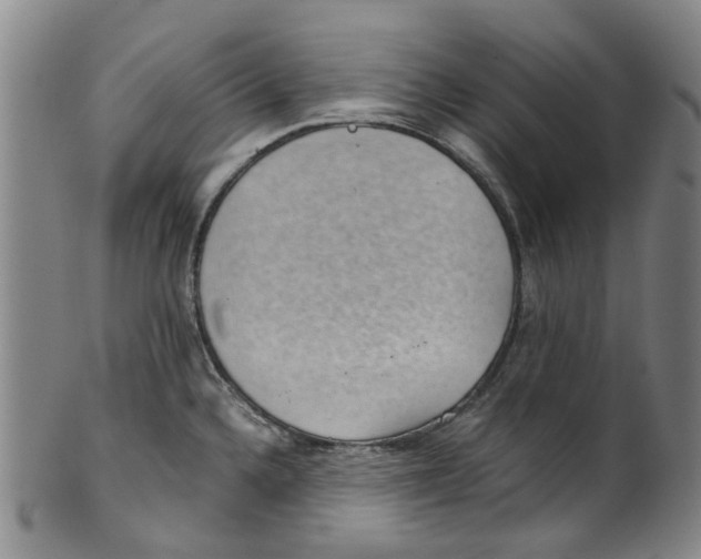 X0000100421336200806271458