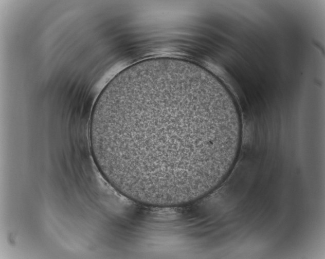 X0000100421338200806271458